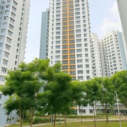 Blk 2D Kallang Heights (Kallang/Whampoa), HDB 4 Rooms #503454811